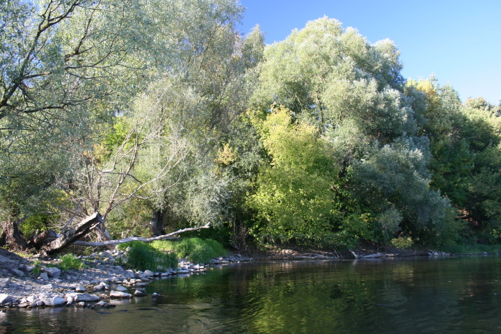 20 09_14.jpg