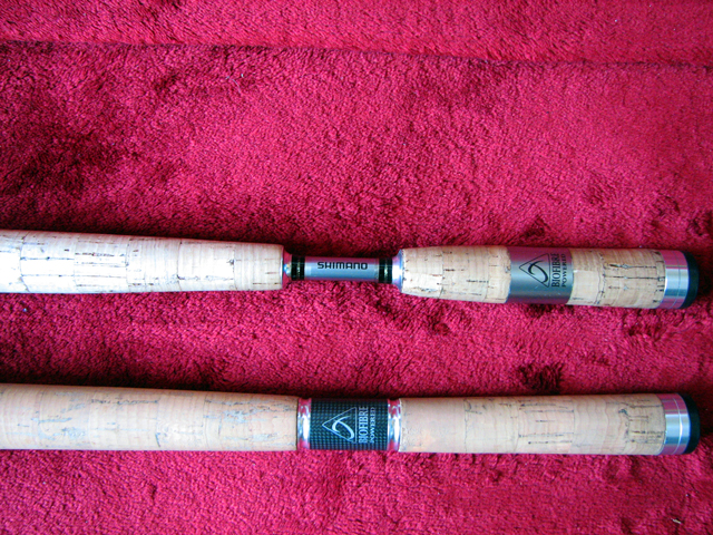 shimano.jpg