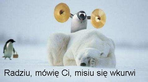 Zostawmisia.jpg