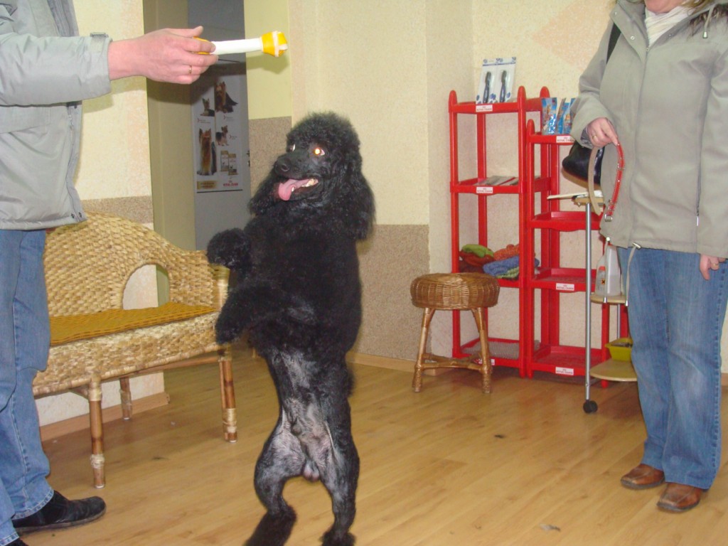 Image_4.JPG
