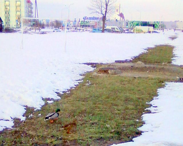 Schowek01.jpg