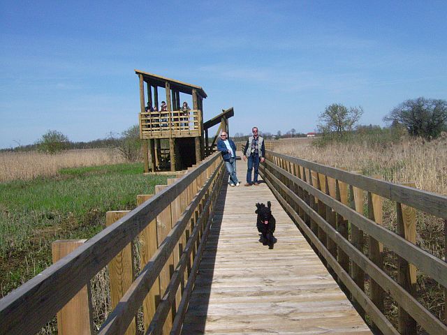 177.jpg