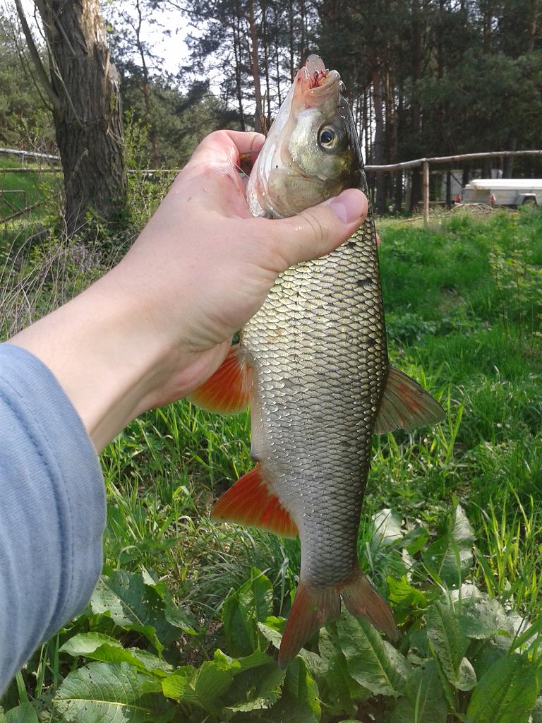 jaź 34, wkra 25.IV.jpg