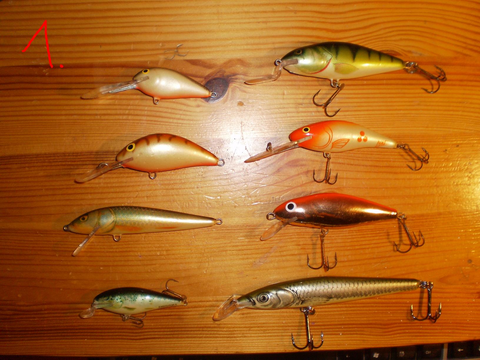 SALMO.JPG