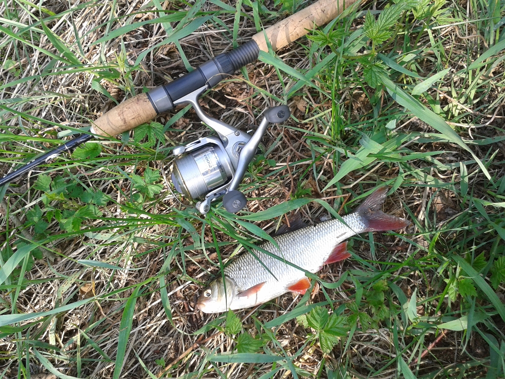 Jaź 25, Wkra 25.IV.jpg