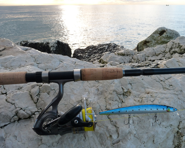 sea bass.jpg