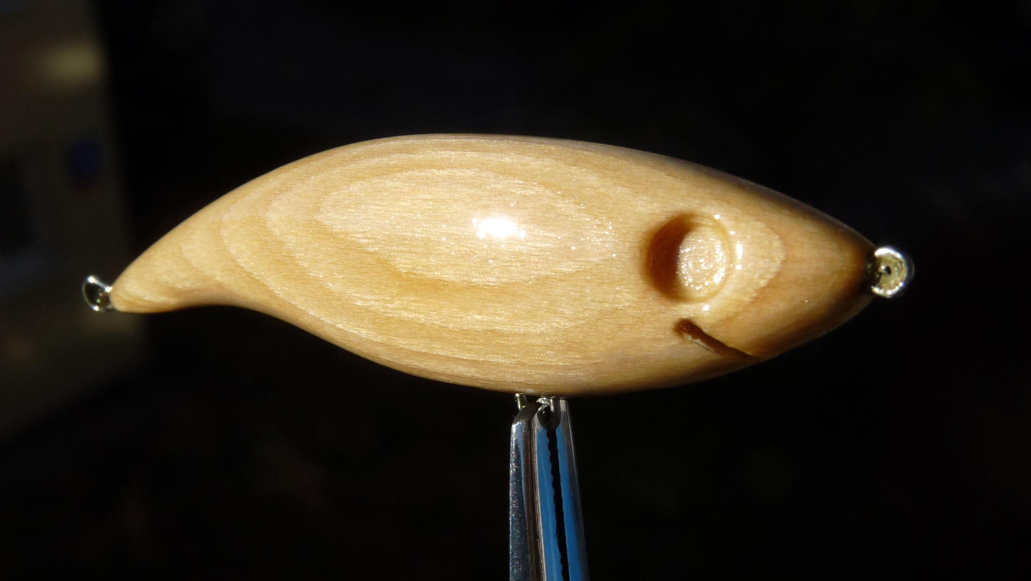 P108FFF0651.jpg