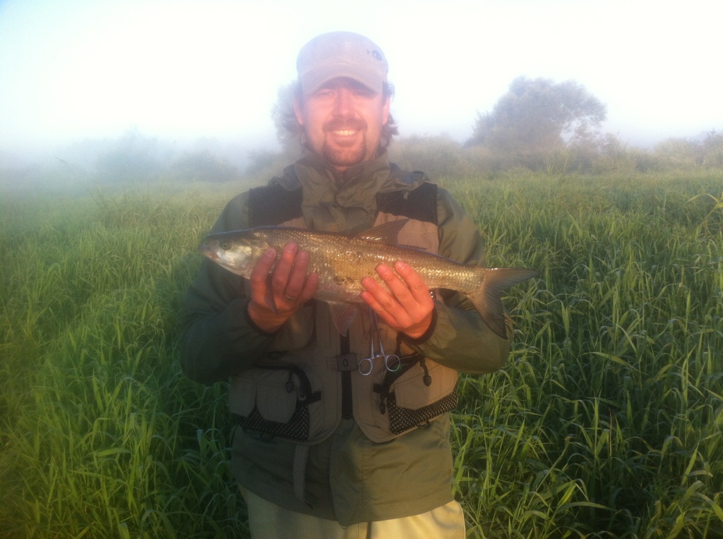 Boleń 52cm_1.31kg.jpg