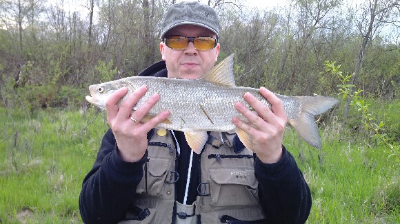 60 cm (05.05.2013)  wraz z łowcą.JPG