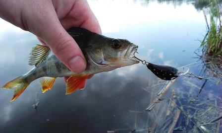 2014-04-27 14.19.40.jpg