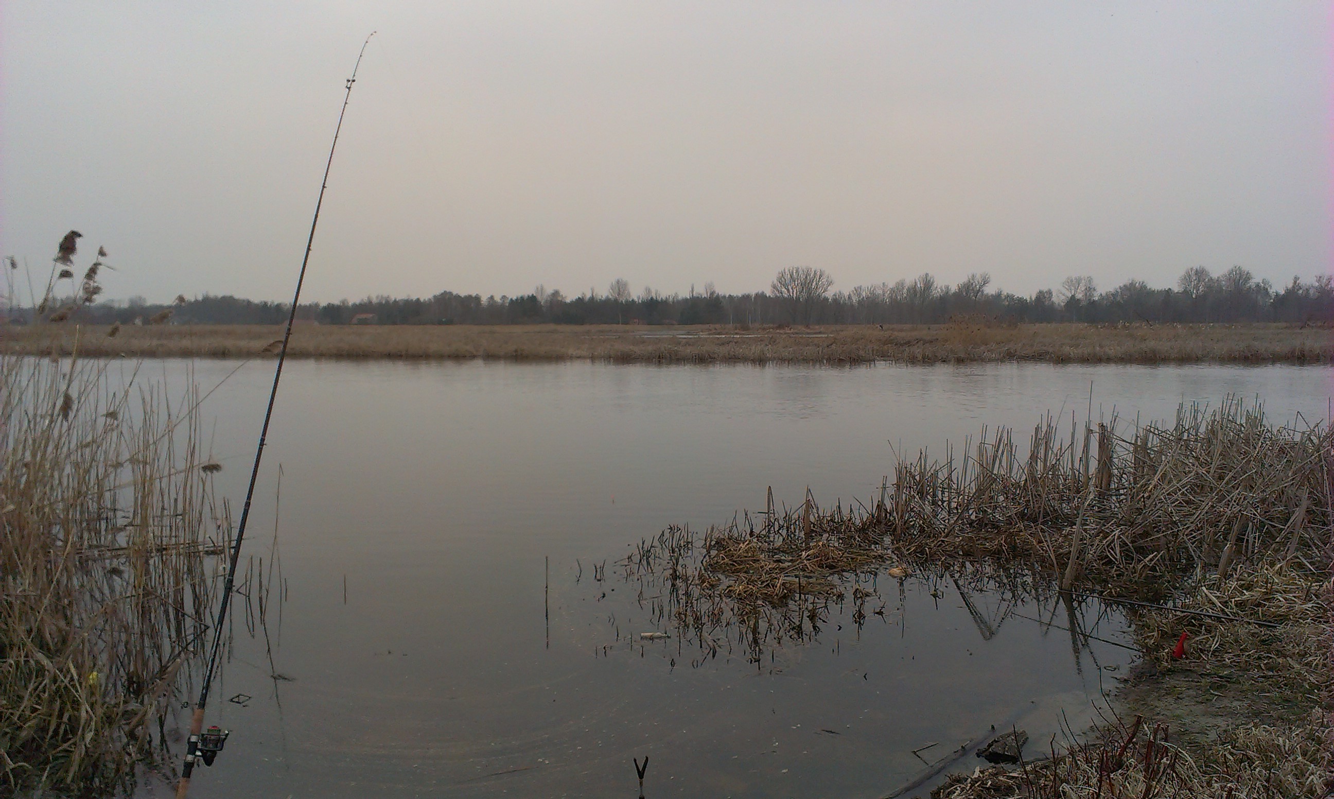 2014-03-08 14.26.59.jpg