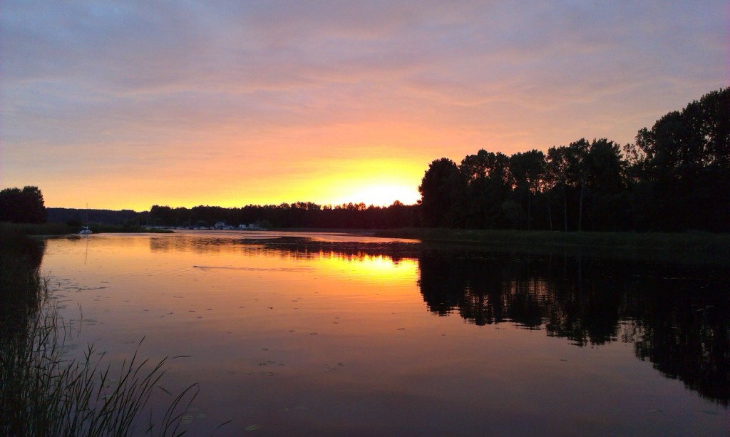 IMAG0214.jpg
