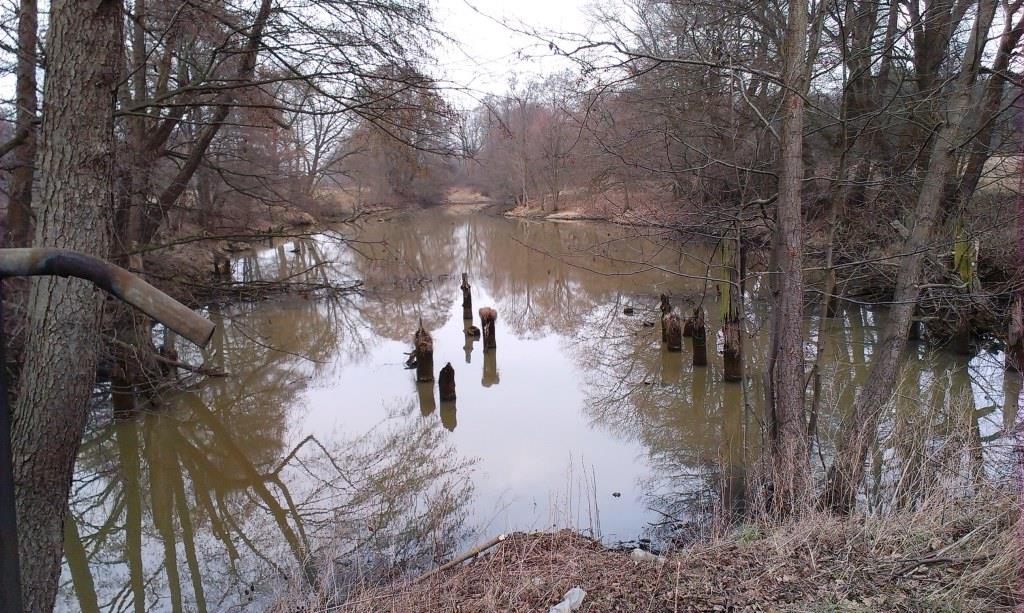 2014-03-08 14.59.55.jpg