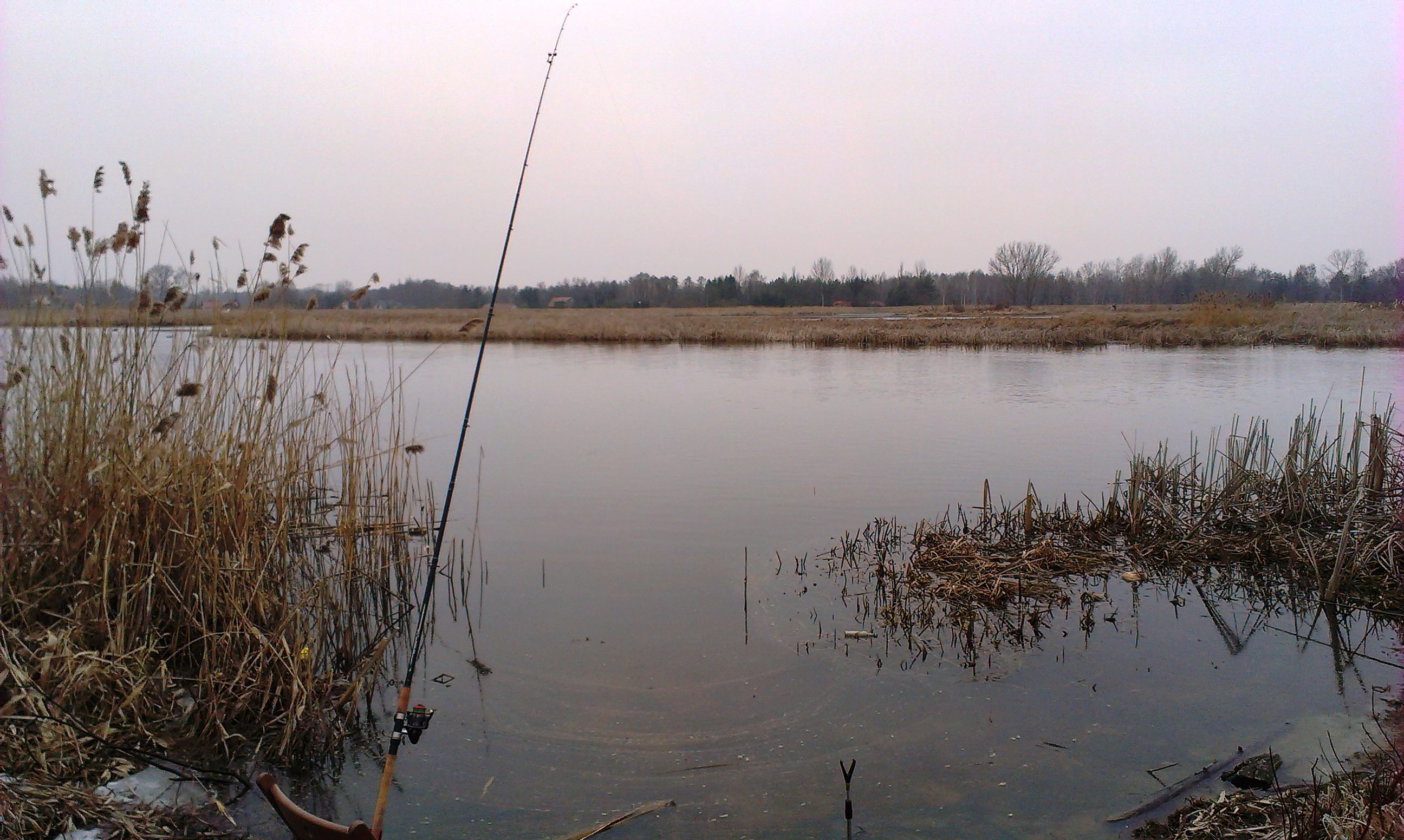 2014-03-08 14.26.55.jpg