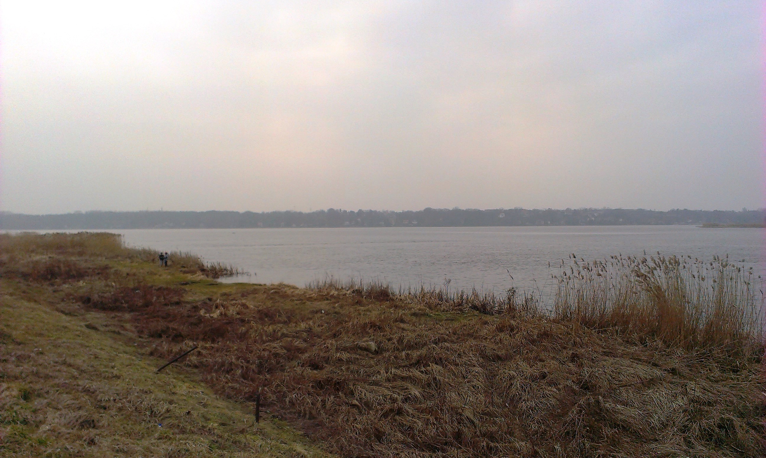 2014-03-08 14.53.51.jpg