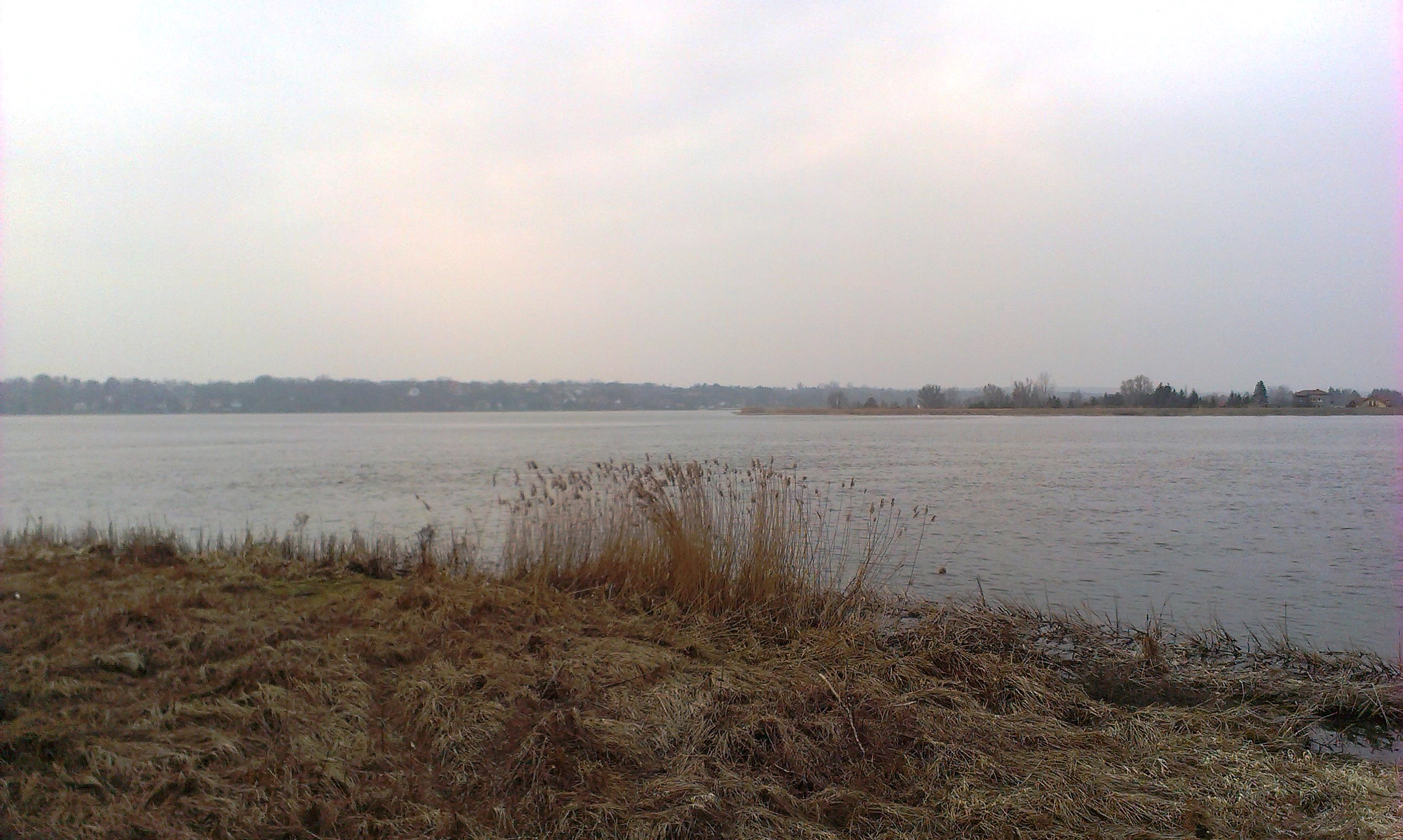 2014-03-08 14.53.55.jpg