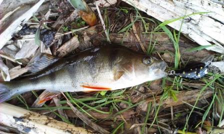 2014-04-27 14.19.51.jpg