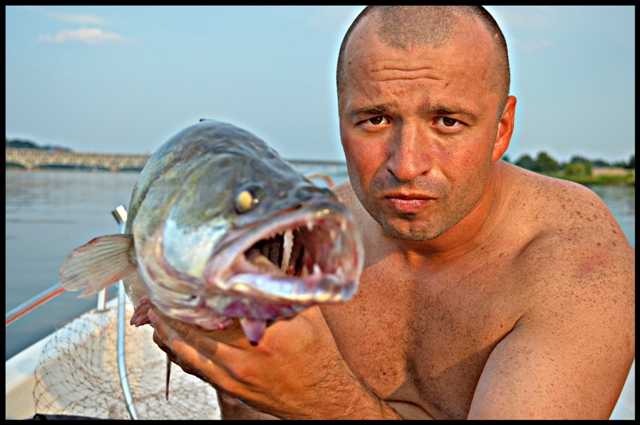 DSC_0250 - Kopia.JPG