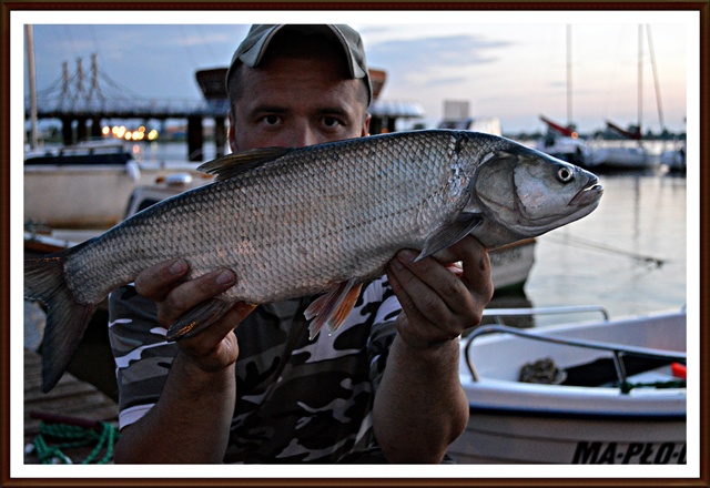 DSC_0246 - Kopia.JPG