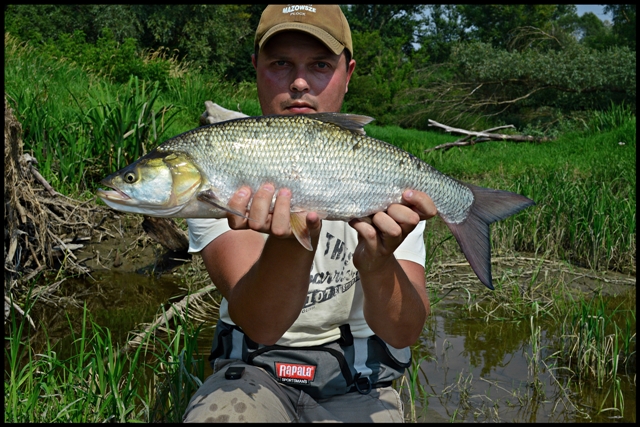 DSC_0347 - Kopia (2).JPG