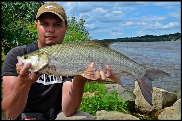 DSC_0241.JPG