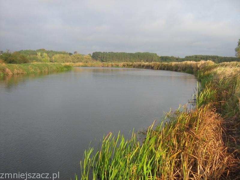 biebrza.jpg