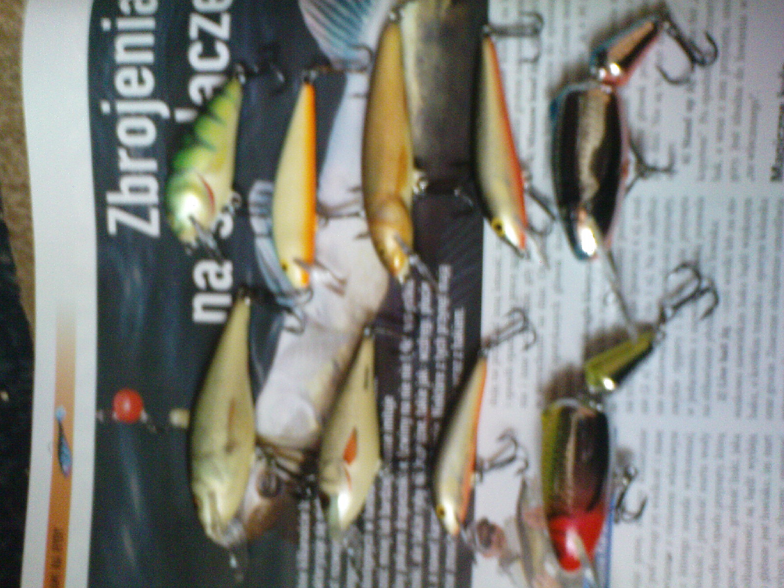 salmo1.JPG