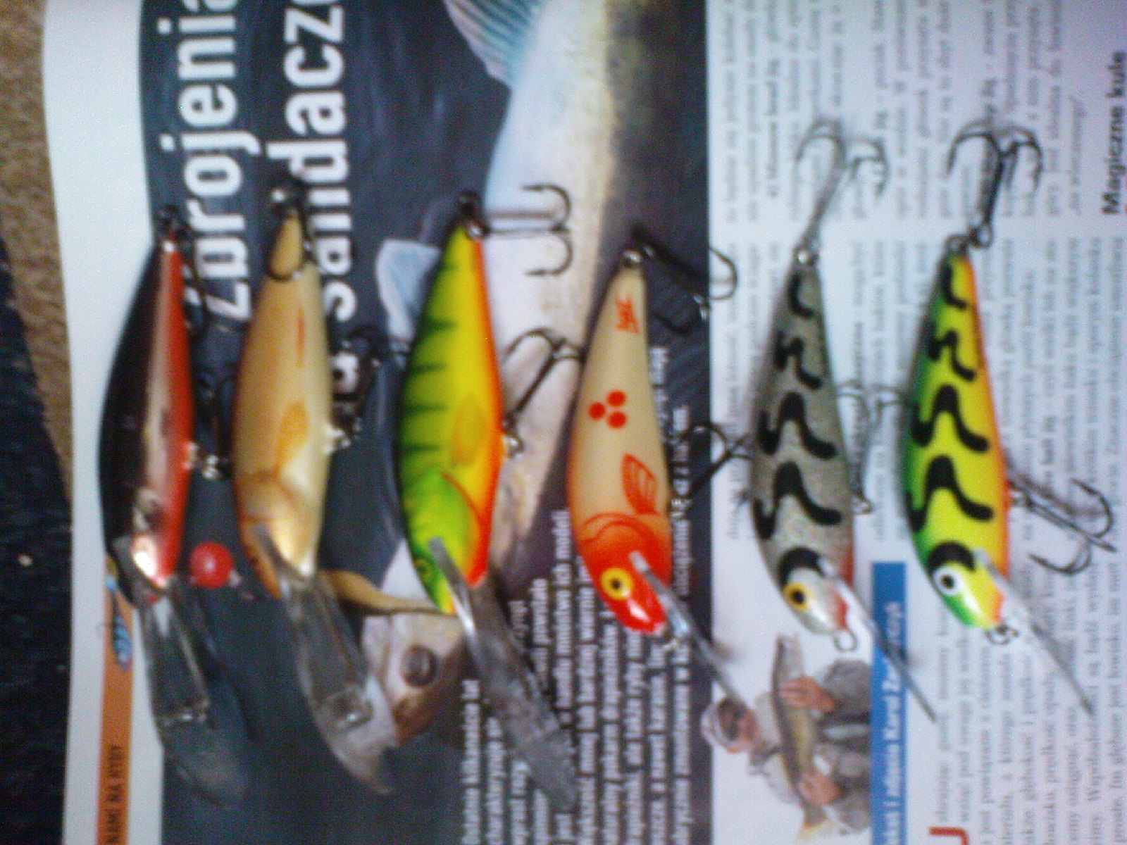 salmo.JPG