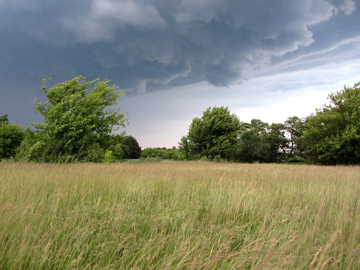 burza przechodzi bokiem_m.jpg