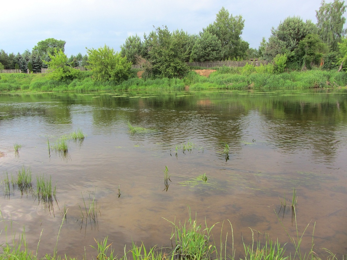 rzut oka na rzeke_m.jpg