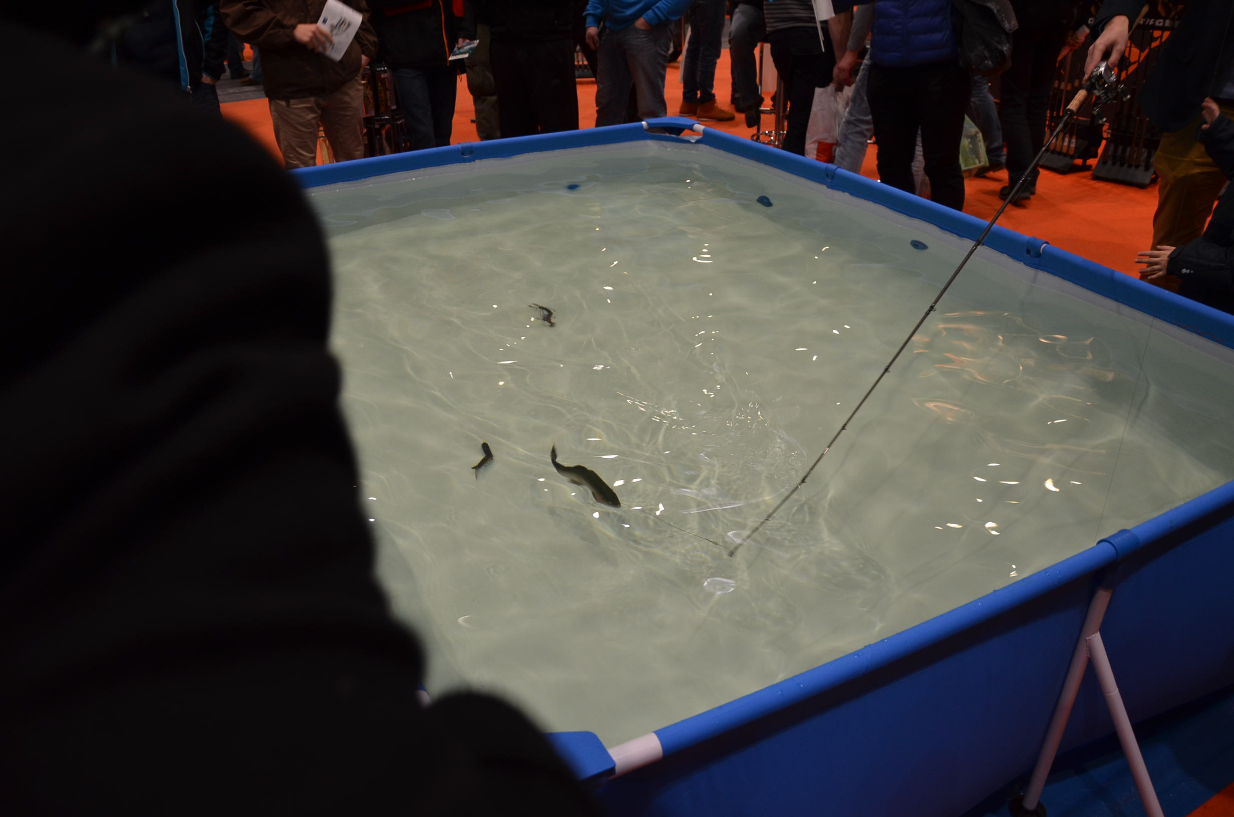 Rybomania 2015 016.jpg