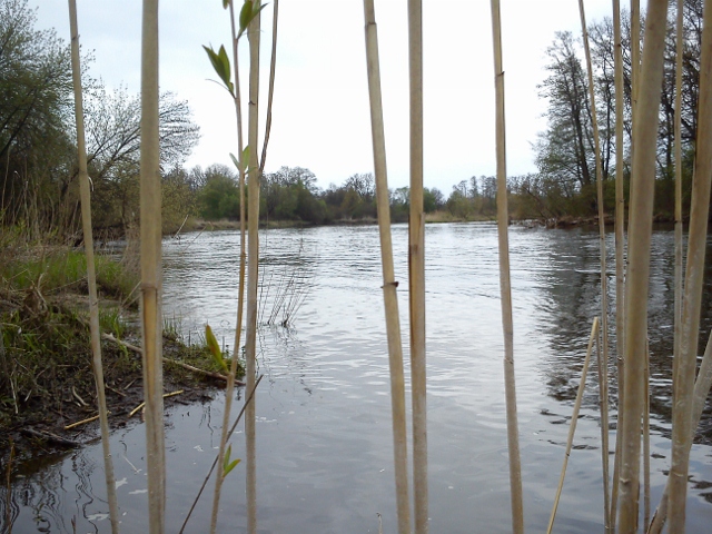 DSC_0017 (640x480).jpg