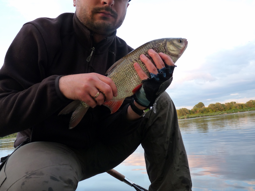 P1110769 (1024x768).jpg