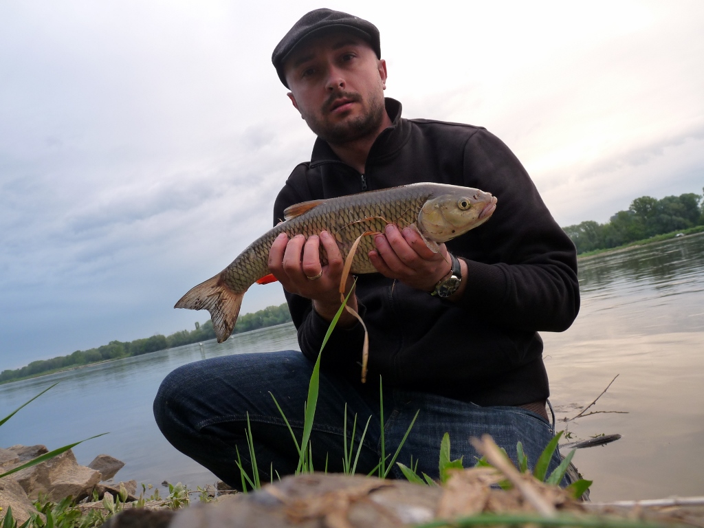 P1110768 (1024x768).jpg