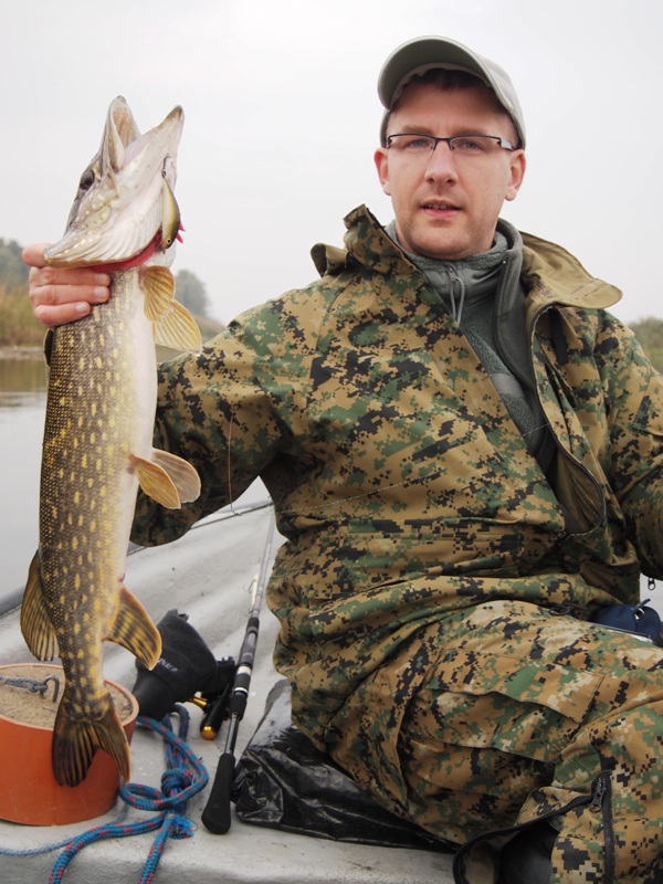 amator trociowych wobow.JPG