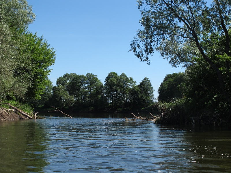 tego trolla odpuscilismy.jpg