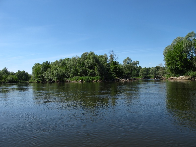 bug dzieli wyspe.jpg