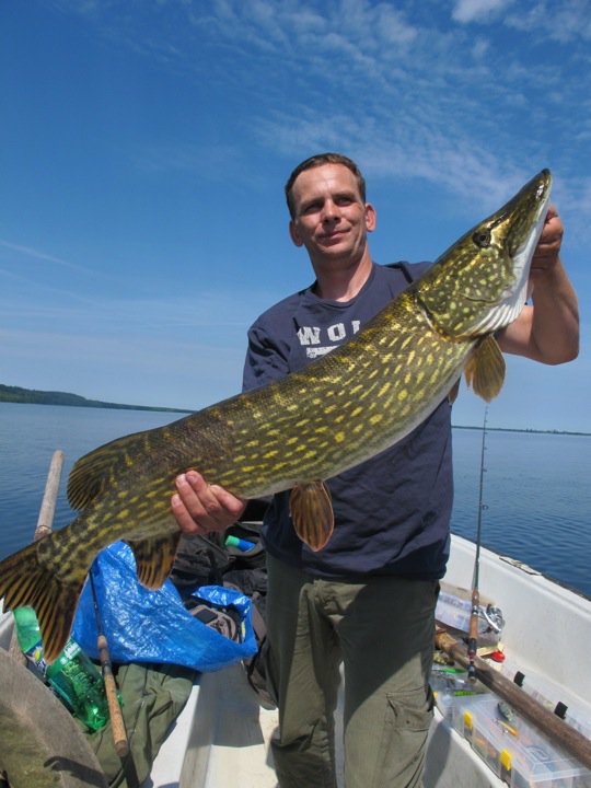 100cm.jpg