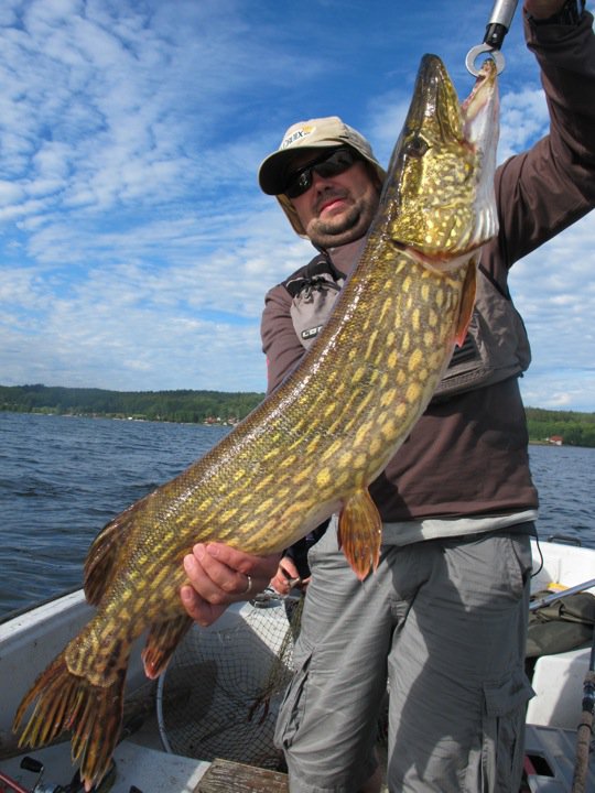 96cm.jpg