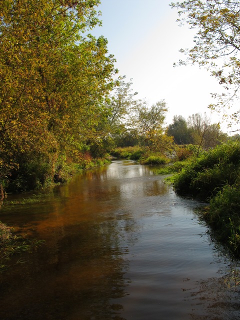 przelana omega za rogalem.JPG