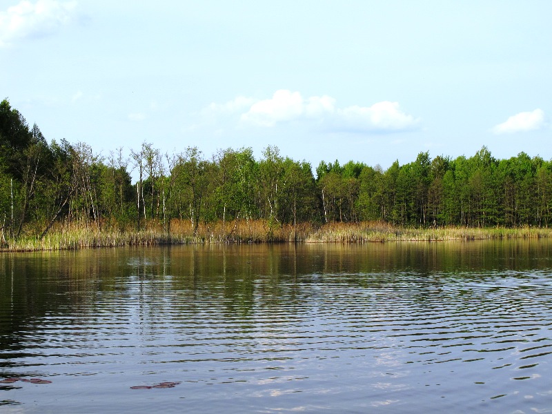 duza zatoczka.jpg