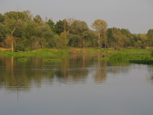 Bug wlewa sie w Trojan.JPG