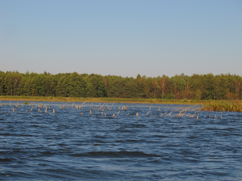 kolki.JPG