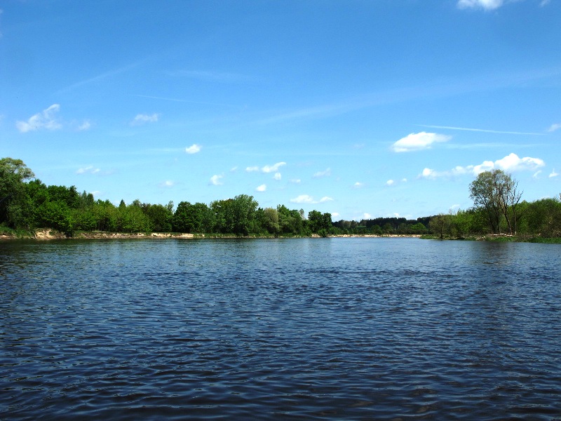 Bug zakret w Osłowie.jpg