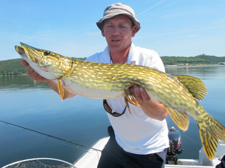 85cm.jpg