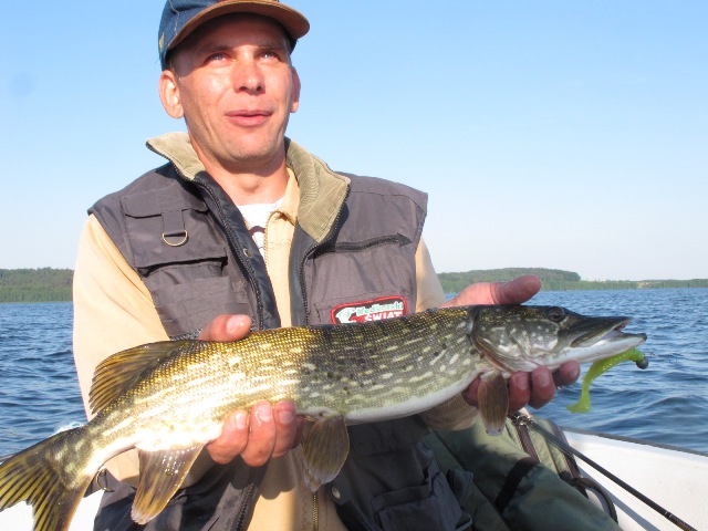 60cm.jpg