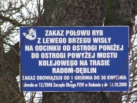 100_0129.JPG