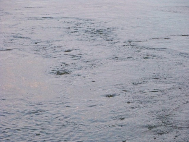 100_1007.JPG