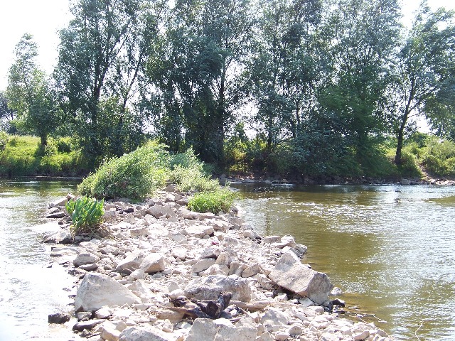 100_1060.JPG