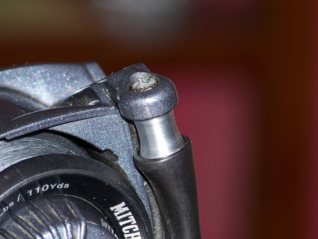 100_3493.JPG